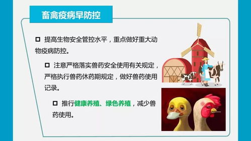 疫情防控期間強化農產品質量安全監管，嚴防禁用獸藥等風險隱患